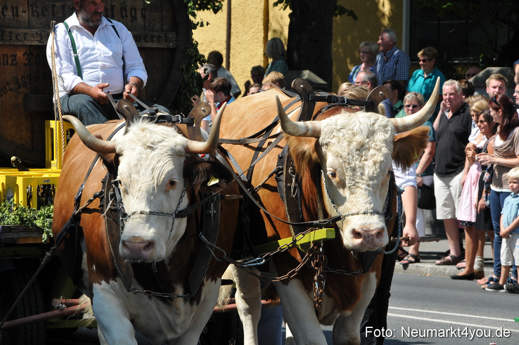 Volksfest Neumarkt 100814 0059